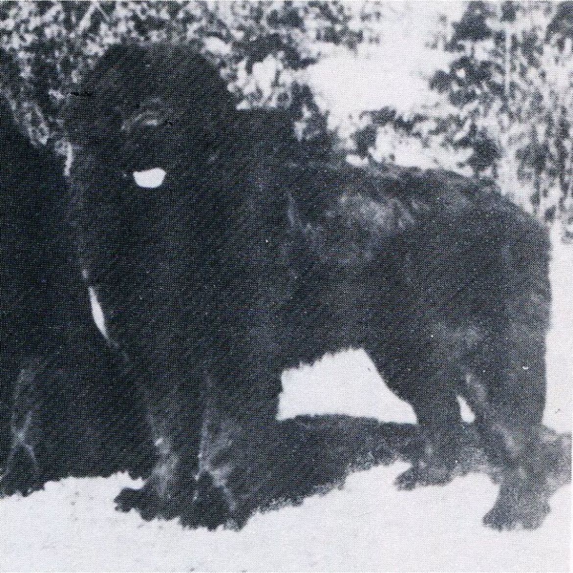 R Christian degli Angeli Neri (06-08-1972)